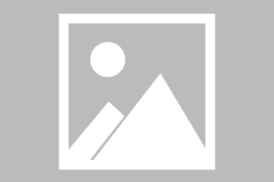 南宫电竞玩家-关于巴特勒连续七场比赛得分超过精彩发挥风云突变洛杉矶快船冲刺阶段防线松动，现场解说直呼：新疆广汇加时末段队长鼓劲的信息